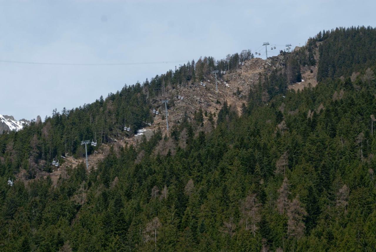 Front Ski Slope Chamonix Apartment Ngoại thất bức ảnh